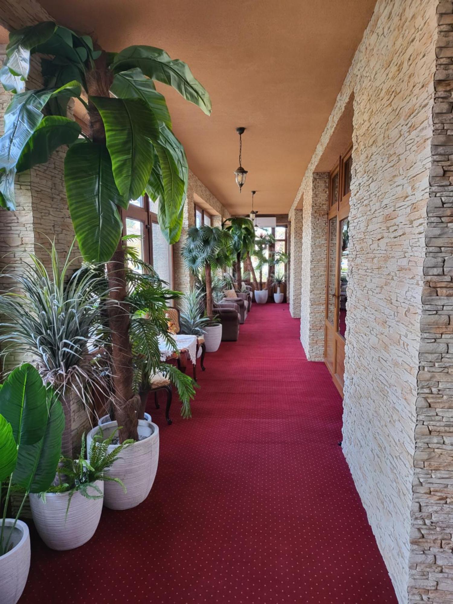 Bed and Breakfast Voeroes Alom Panzio Тисакечке Экстерьер фото